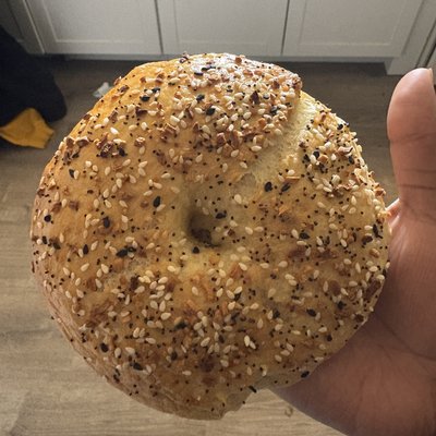 Six (6) Everything Bagels