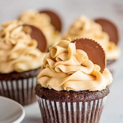 Peanut Butter Chocolate Cupcakes 12 Count 