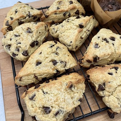 Chocolate Chip Sourdough Scone - Single 