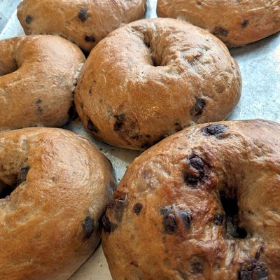 Chocolate Chocolate Chip Bagel 4-Pack