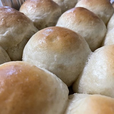 Dinner Rolls (Yeast)