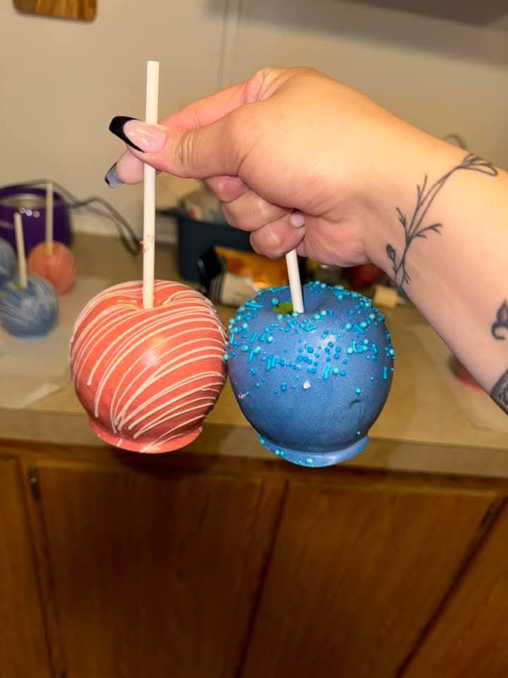 Chocolate Covered Apples