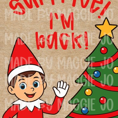Surprise i’m Back Boy Elf Banner