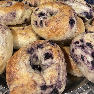Blueberry Bagels