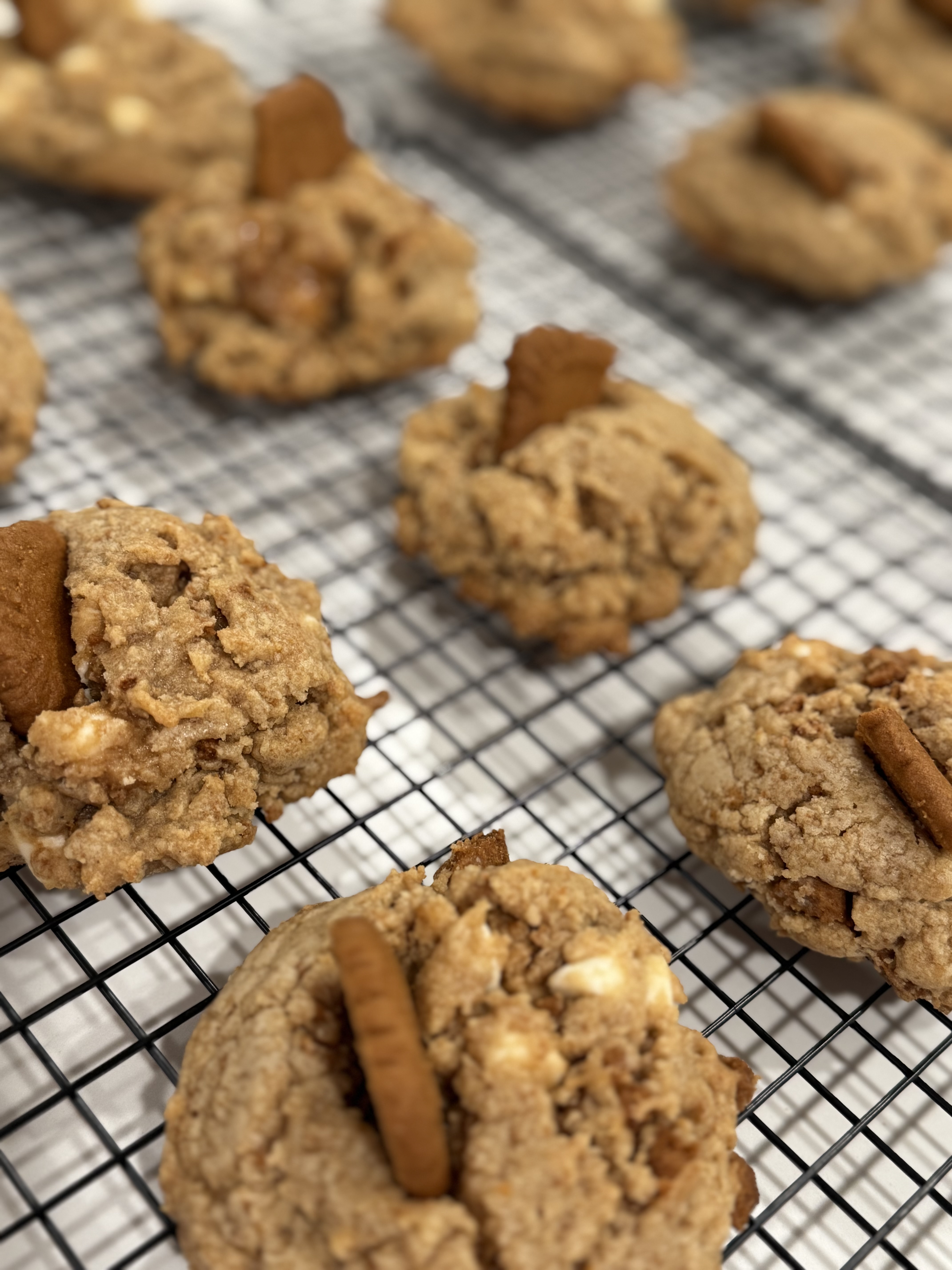 3 Pk. - Biscoff Cookie Butter Cookies 