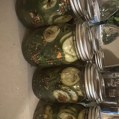 Dill Pickles 16oz Jar