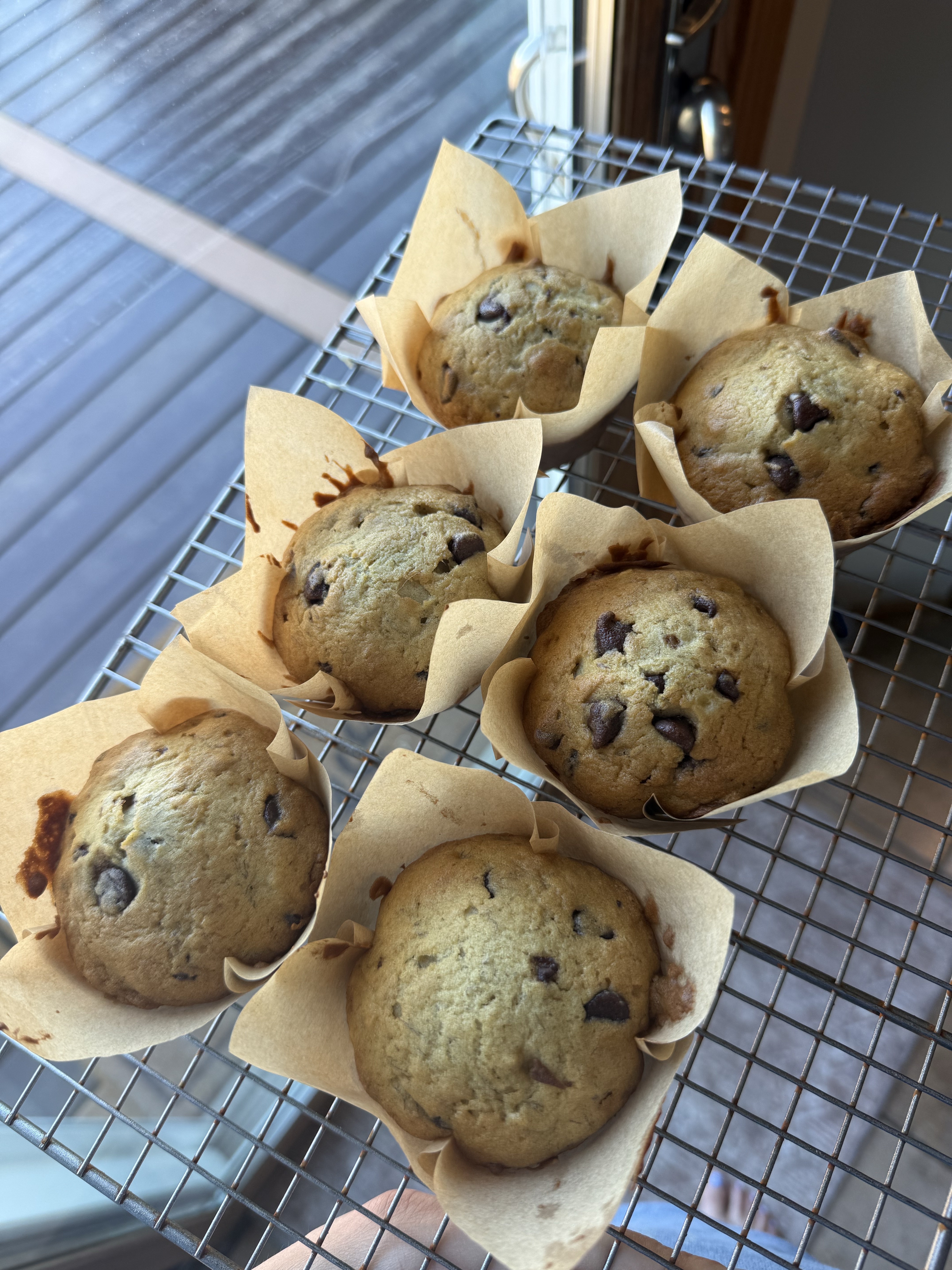 Banana Chocolate Chip Muffins