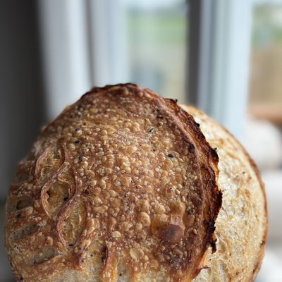 Everything-But-The-Bagel Sourdough