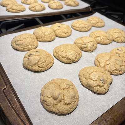 Sourdough Chocolate Chip Cookies 