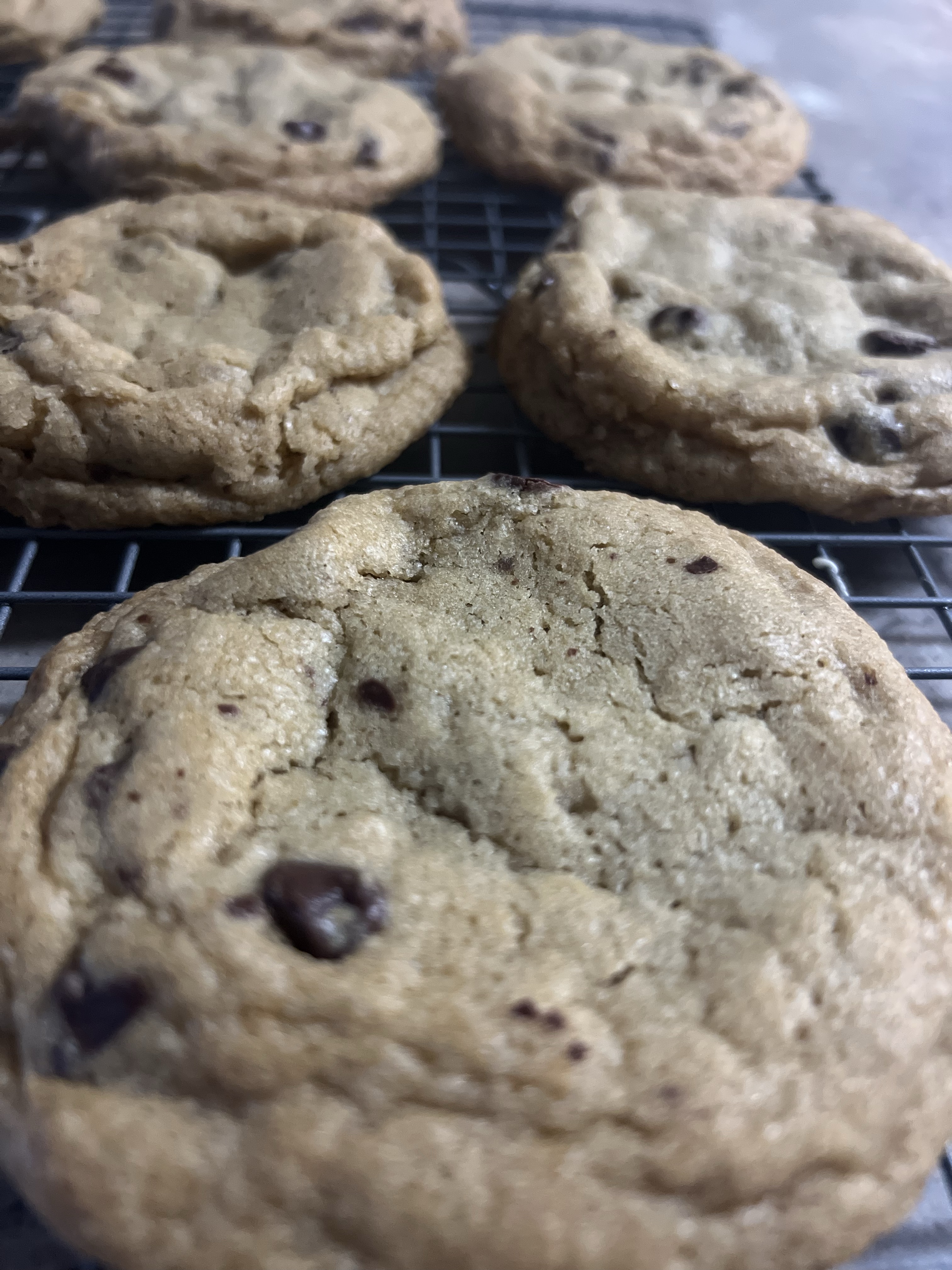 gluten free chocolate chip cookie