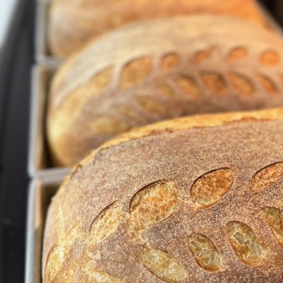 Soft White Sourdough Loaf 