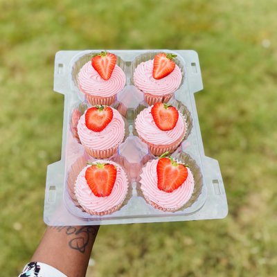Basic Cupcakes 