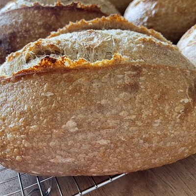 Original Sourdough 
