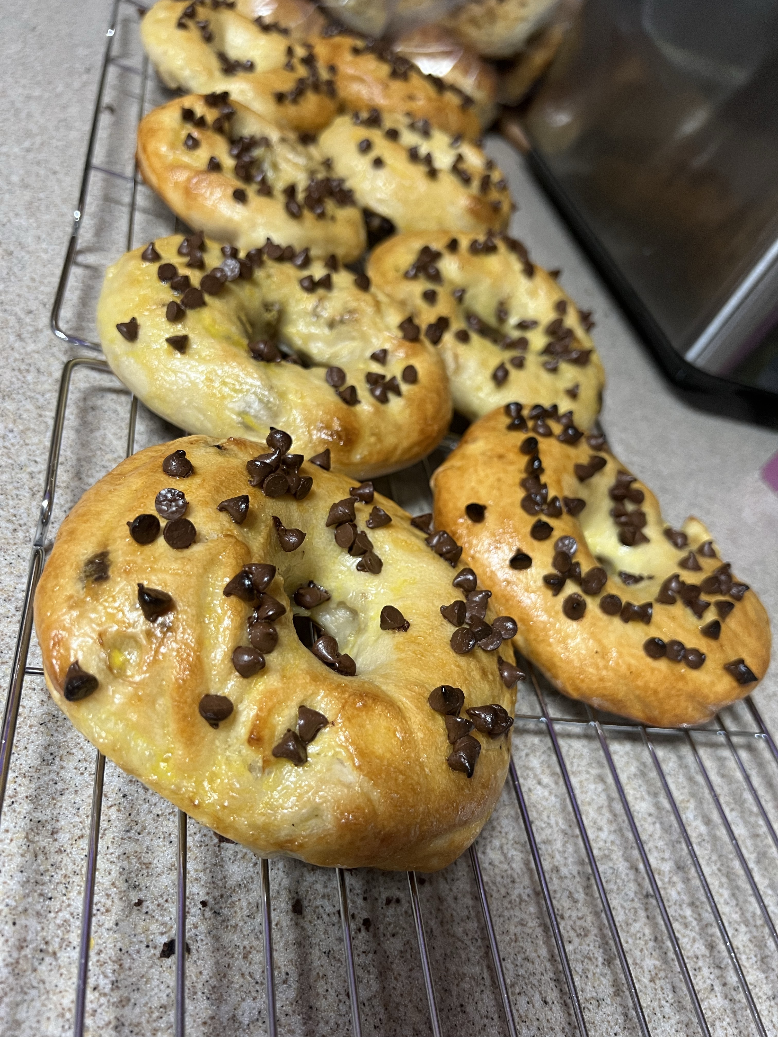 Chocolate Chip Bagels