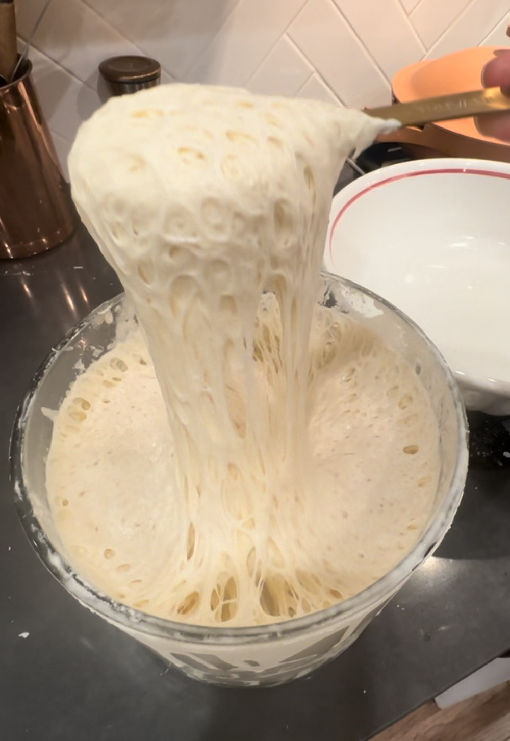 Sourdough Starter