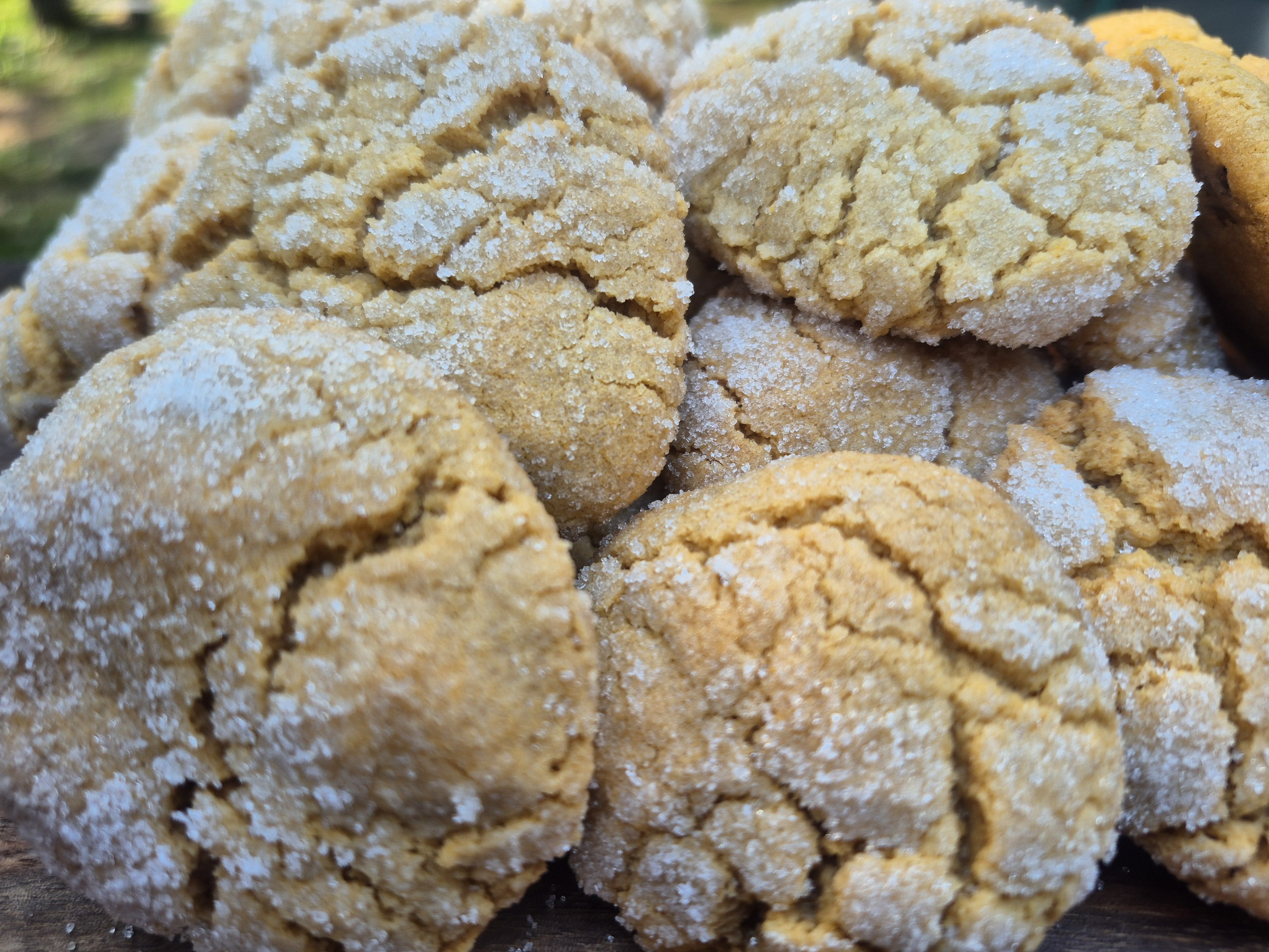Gluten-free Dairy-free Peanut Butter Cookies 