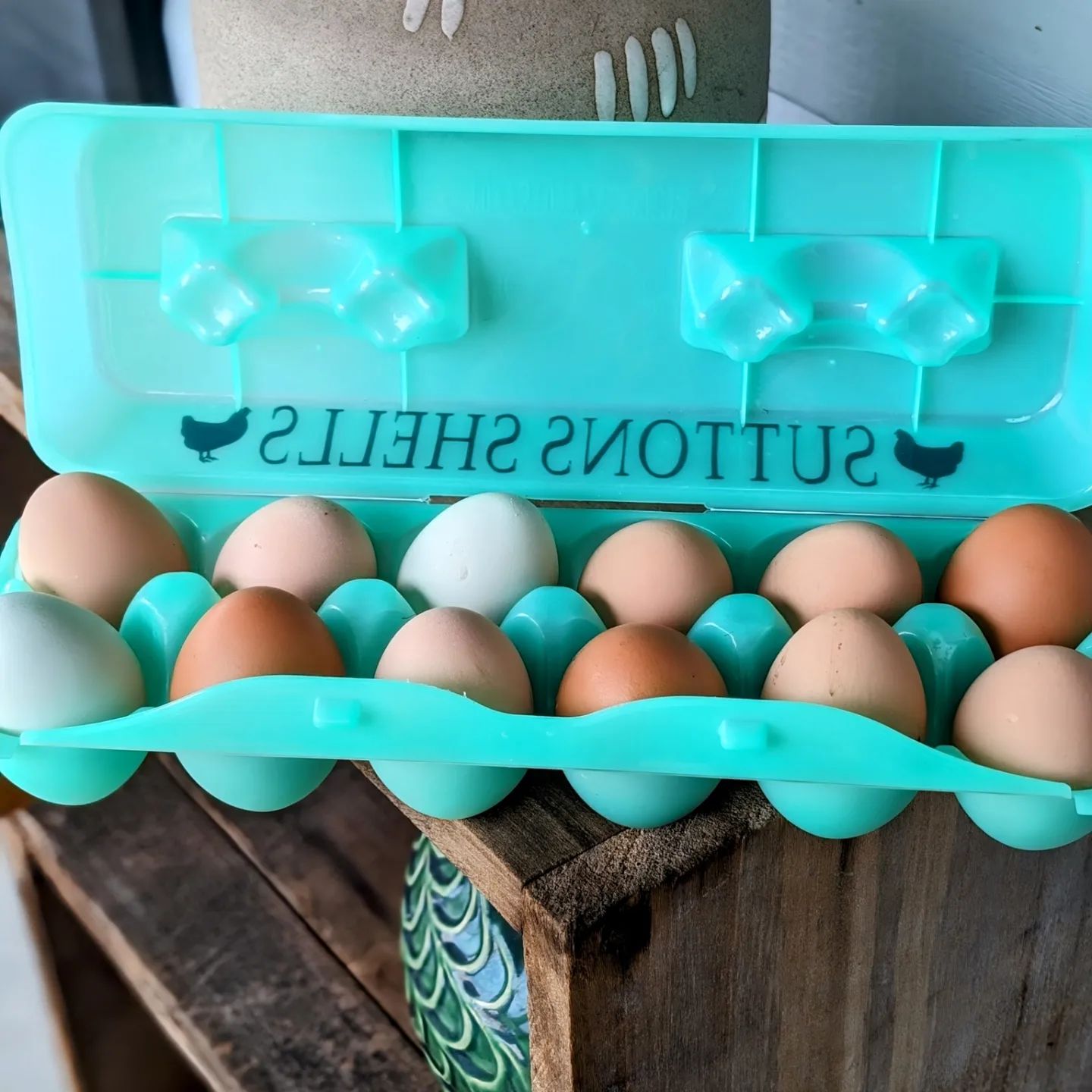 Eggs