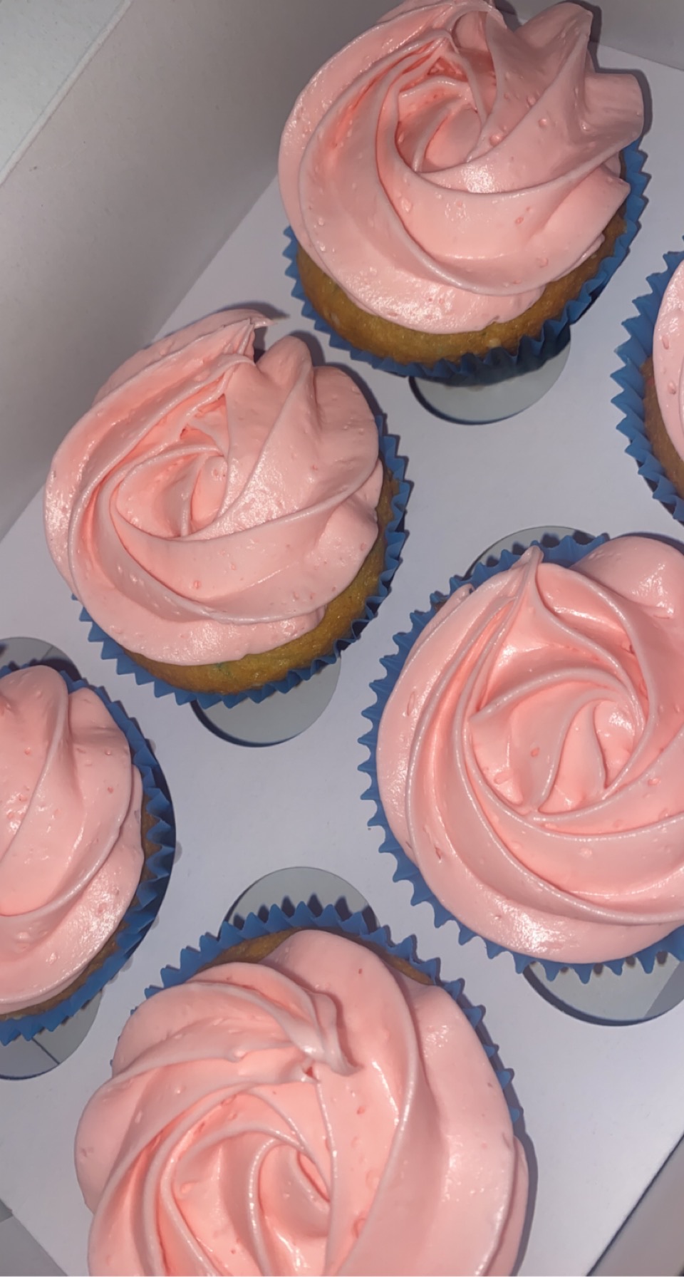 Half Dozen Original KupKakes