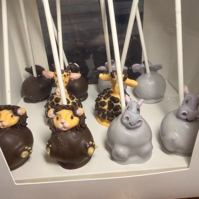 🍰 Premium Collection Cake Pops