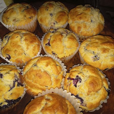🧁Blue 🫐 Muffins