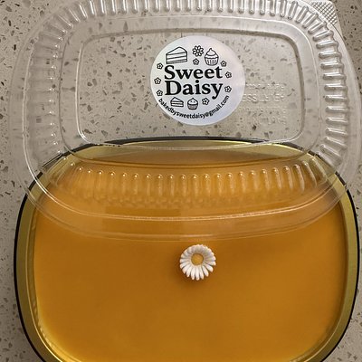 Mango Cheesecake - Medium