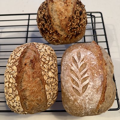 Sourdough Flight - 3 pk