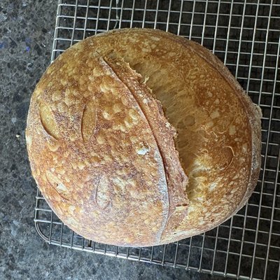 Plain Sourdough * Mini *