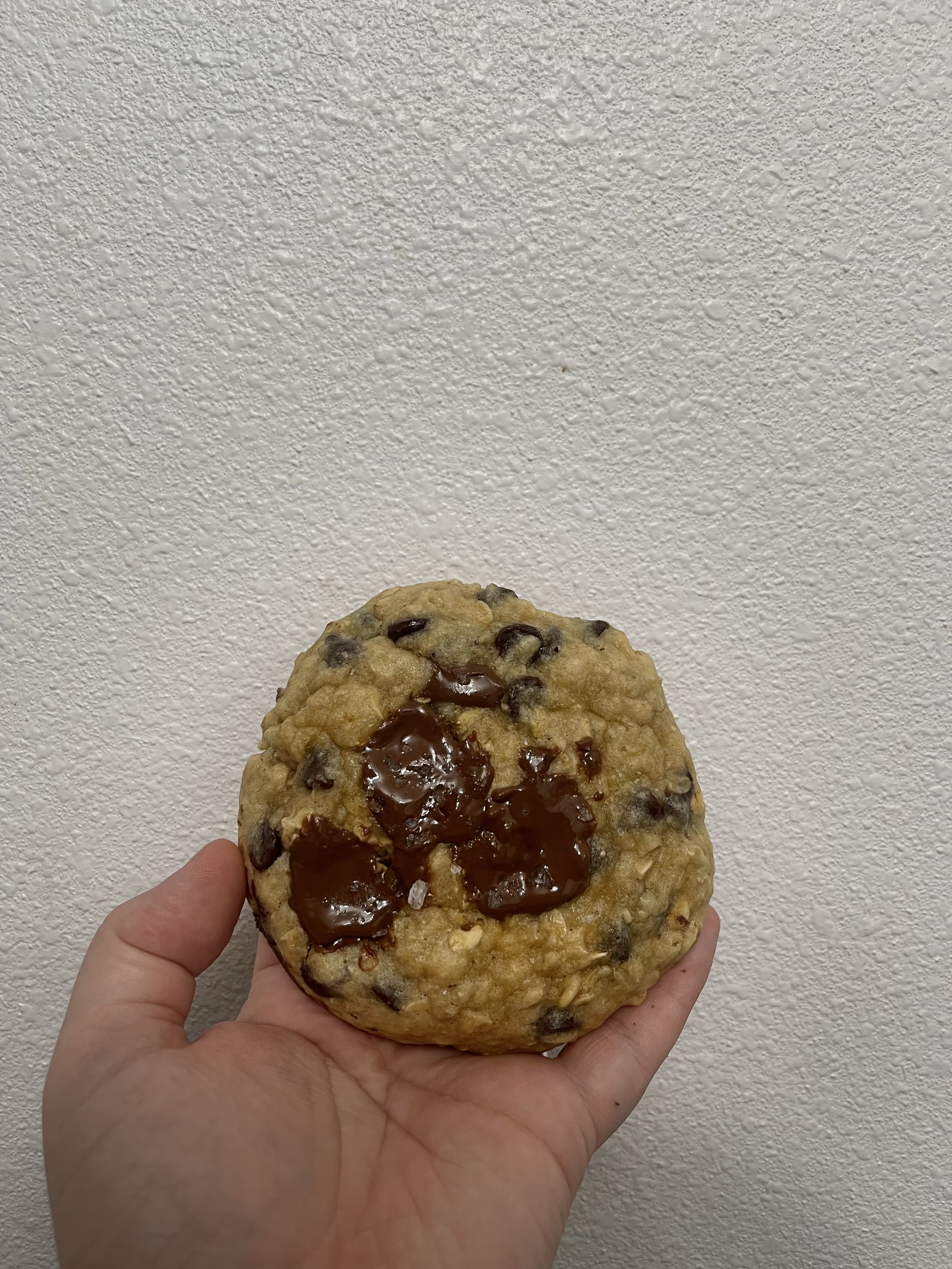 Banana Oat Protein 