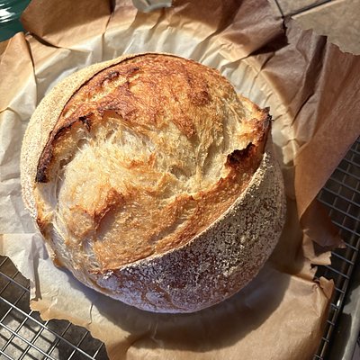 Classic Sourdough Loaf 