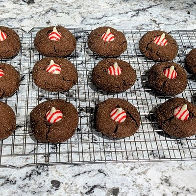 Fudgy Chocolate Peppermint Blossoms
