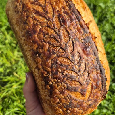 Classic Sourdough Loaf