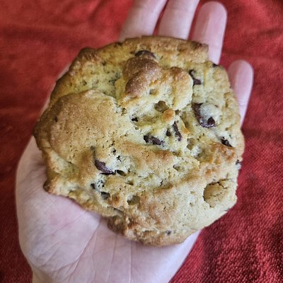 Chocolate Chip Sourdough Cookies (4oz Each) - 6 Pack