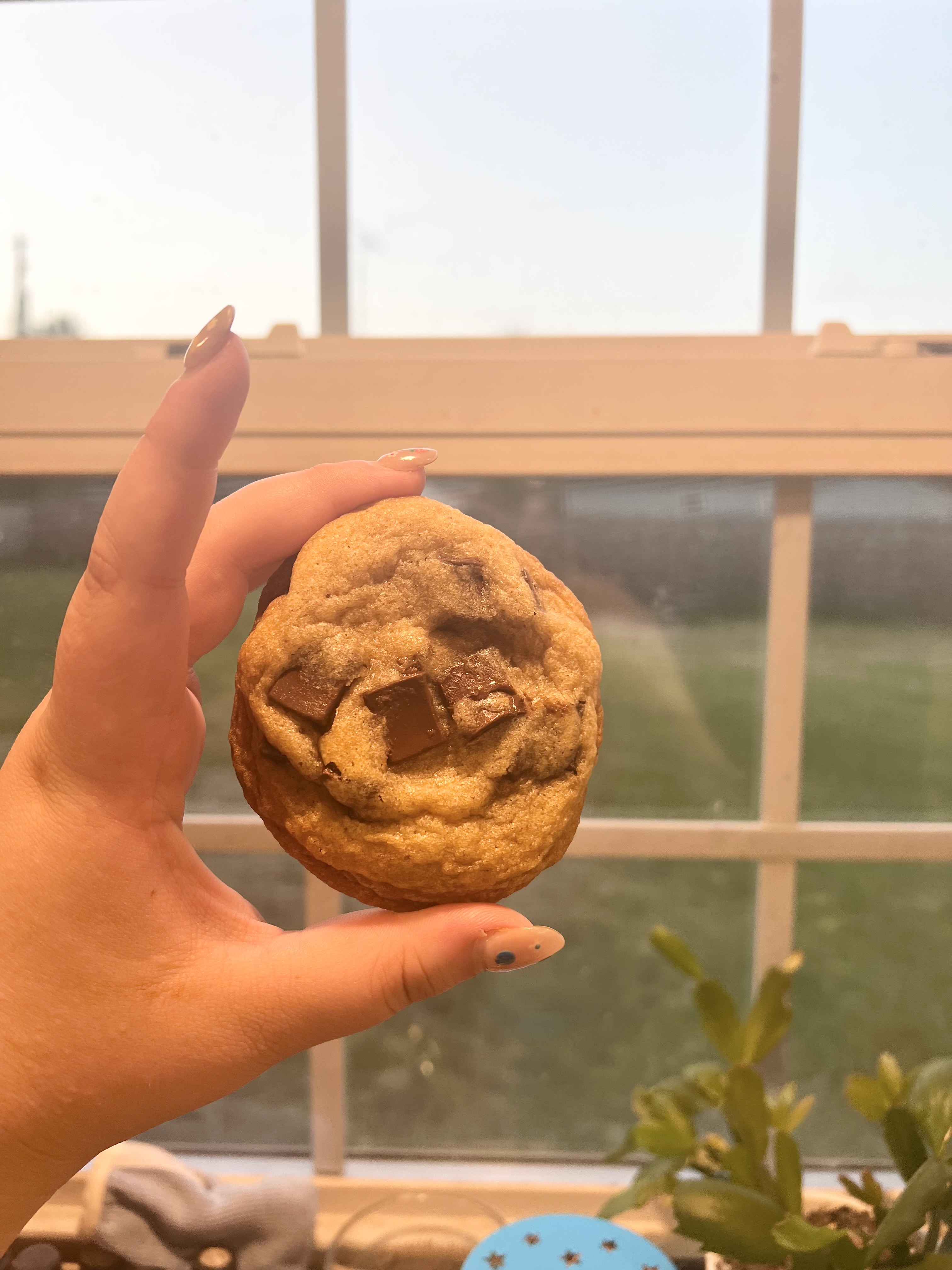 1/2dozen Chocolate Chunk Cookies