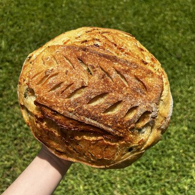 Jalapeño Cheddar Sourdough Loaf
