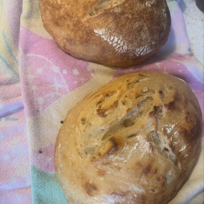 Artisan Sourdough Plain Loaf