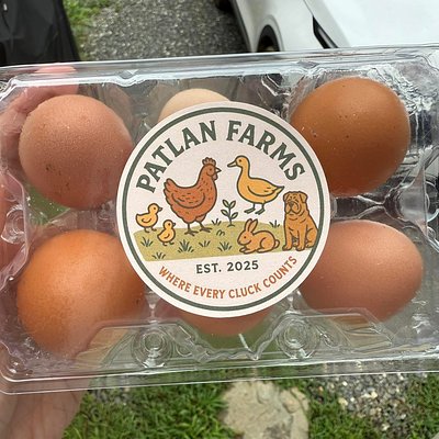 Half Dozen Unwashed Eggs