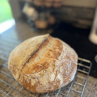 GF Sourdough Artisan Loaf-Plain