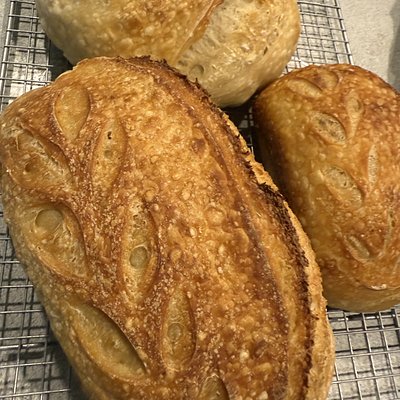 Jane Dough Jr. (plain 1/2 size)