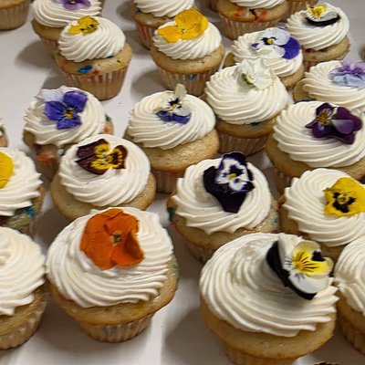 1 Dzn Cupcakes - Vanilla Or Chocolate