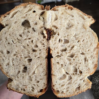 Tuscan Herb & Asiago