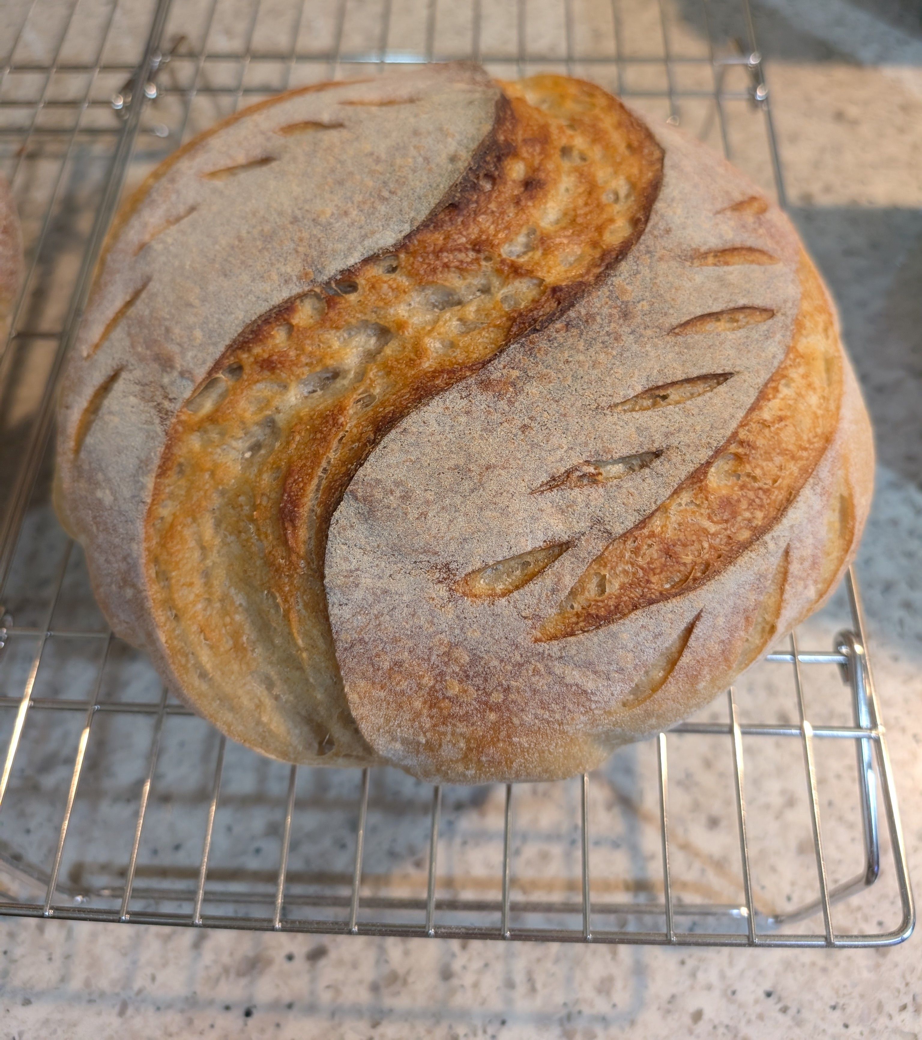 Regular Sourdough
