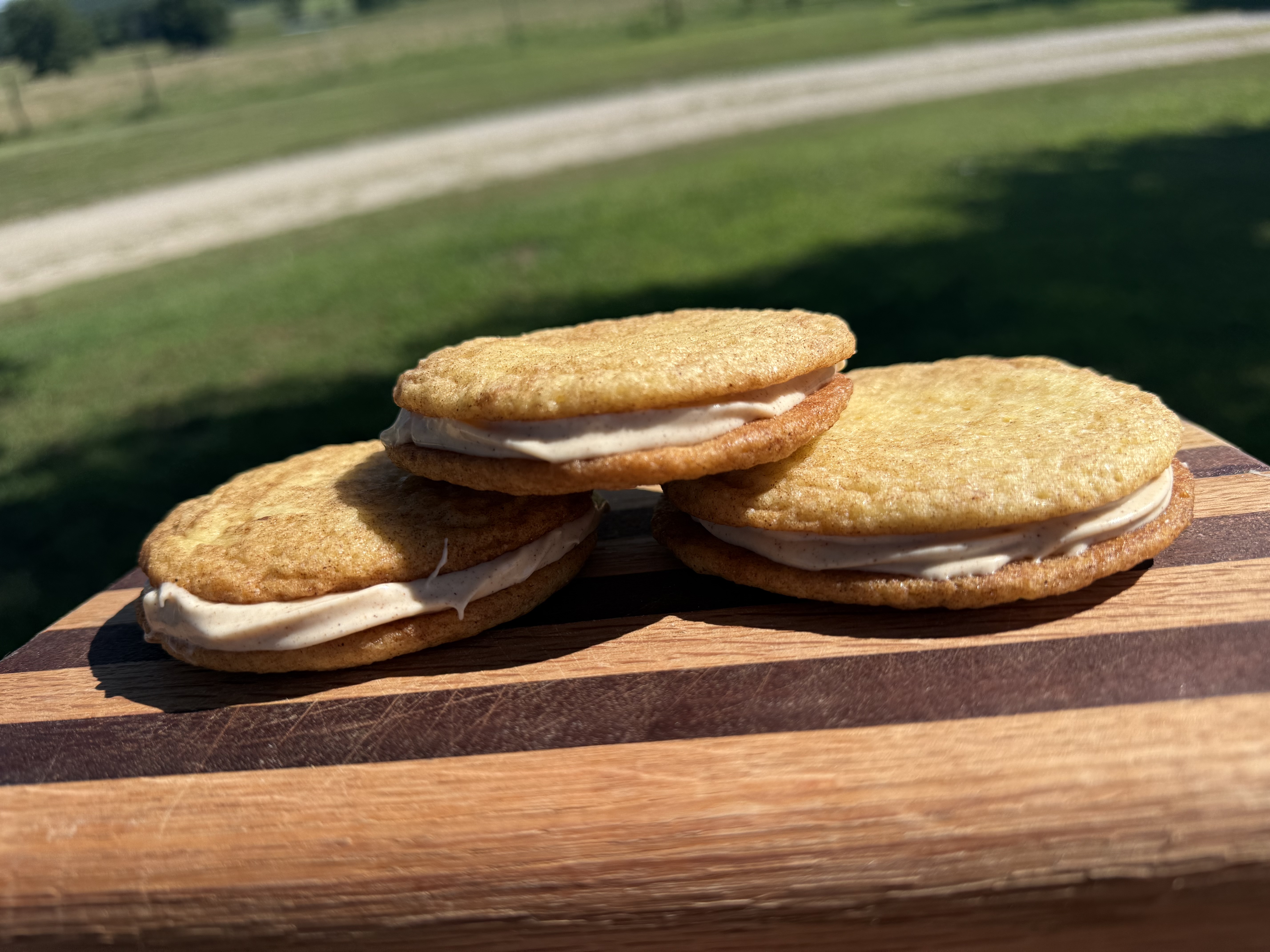 Half Dozen Of Snickerdoodle Sandwich Cookies 