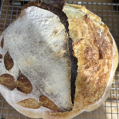 Sourdough Round Boule