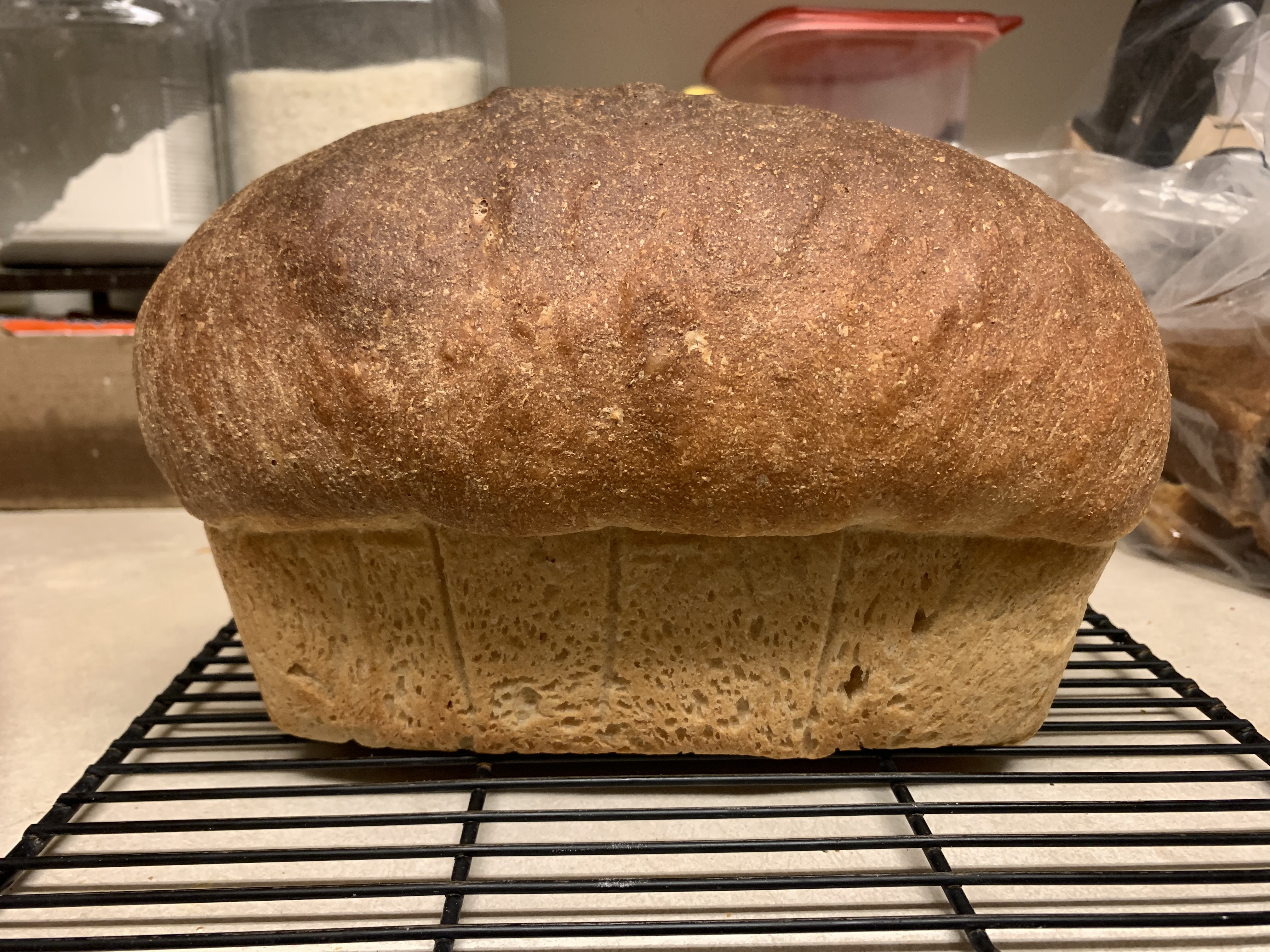 Whole Wheat Everything But The Bagel Bread