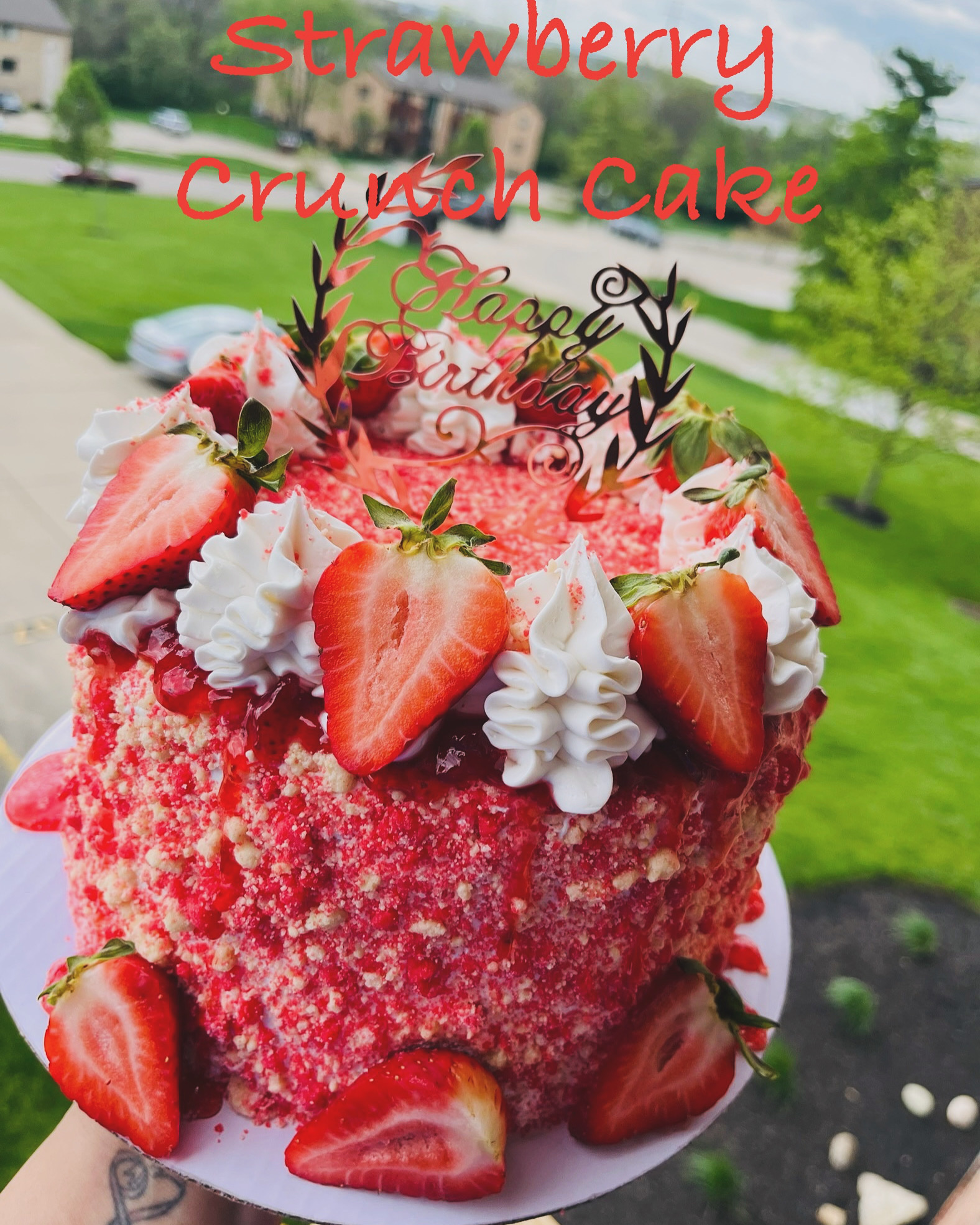 Cakes 