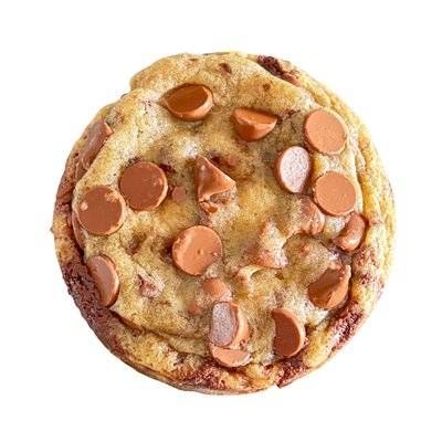 Chocolate Chip