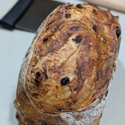 Carrot Cake Celebration Sourdough 
