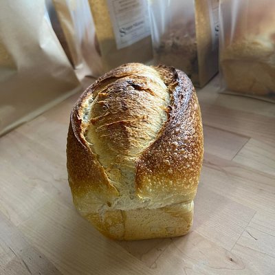 Whole Wheat Sandwich Bread 