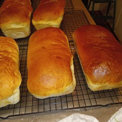 Bread
