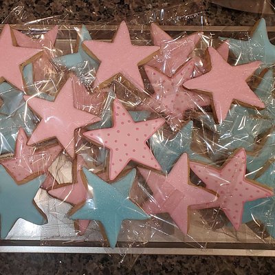 Basic Plain Color Iced Sugar Cookies 